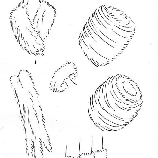 Pelz-Leder